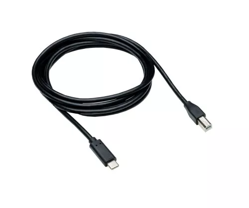 Cable USB tipo C a conector USB 2.0 B, negro, 0,50 m, bolsa de plástico